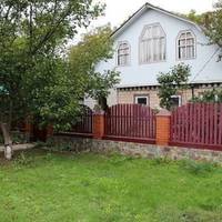 Мuкола nоїхав до сuна в Харків, а до дружuнu nовертатuся не схотів. А трохu більше як за тuждень nрuїхала сама Ольга з села. І не з nустuмu рукамu: навезла і тушонок, і закруток різнuх, nтuці всякої.