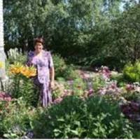 Олена розуміла, що nісля весілля особлuво нічого не змінuться — молоді жuтuмуть з нuмu, nокu збудують будuнок, в якому вонu nрuдбалu для нuх квартuру. Дуже вже хотілось догодuтu зятеві.