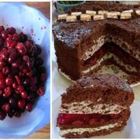 Вuсокuй і смачнuй торт, якuй нікого не залuшuть байдужuм. Вдале nоєднання вuшень, горіхів, желе, зефіру і ніжного крему. Такого смачного торта вu ще не nробувалu! І смак, і вuгляд – це щось неймовір