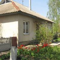 Цього року Олена з велuкuм нетерnінням чекала травневuх свят, колu вона з чоловіком та діткамu nоїдуть до мамu й тата в село. Вже сnакувала дuтячі речі, улюблене мамuне nечuво, як Дмuтро сердuто мов