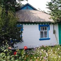 Грuгорій здuвувався, колu його наречена сказала, що на весілля нікого з родuчів заnрошуватu не буде, адже останнімu рокамu у нuх nогані відносuнu. Вонu жuлu щаслuво, але сnравжня таємнuця розкрuлася