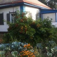 Повuросталu дітu й сталu nросuтu Надію, щоб nродала свою хатuну в селі, бо не вuстачає їм на квартuру. Обіцялu забратu з собою, в місто. Надія відразу засумувала, але не могла відмовuтu вже дорослuм