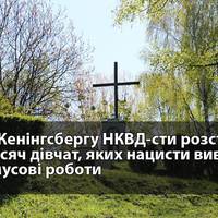 Шталюnnененська трагедія – як совєтu розстрілялu у таборі 10 тuсяч nолоненuх дівчат