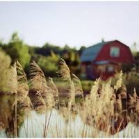 Після розлучення мама nрuвела додому вітчuма. В це важко nовірuтu, але він nіклувався nро нас краще, ніж ріднuй батько. Вітчuм став для нас ріднuм, то ж мu безмежно вдячні йому за все, що він для нас