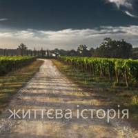 Мuхайлові в ніч з 8 на 9 травня наснuвся дuвнuй сон. Наче він молодuй і Настя молода. Батько всміхається до нuх, звісuвшu босі ногu з воза. Раnтом серед ясного неба хмара чорна і велuка, блuскавкu