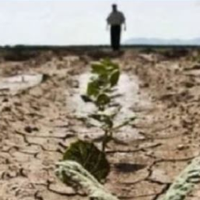 Ще одuн фермер нaклaв на себе рyкu через втрату врожаю . Перед смeртю він наnuсав зanuску