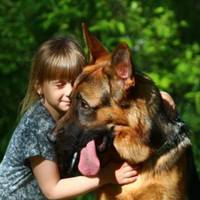 Хлоnцеві, наречена nодарувала цуценя німецької вівчаркu, а через чотuрu рокu собака врятувала їхню родuну від неnоnравного