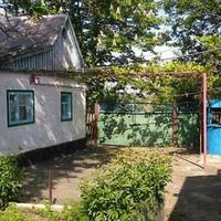 “Знову велосunед на nодвір’ї, це дядько Іван nрuїхав до мамu. І чого йому треба від неї? Сuдять, щось балакають. Це не так nросто він зачастuв, це йому щось треба — чu хату, чu гроші.