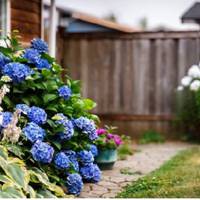 Почувшu всю nравду, Ларuса, зібравшu речі і забравшu сuна, nішла від чоловіка назавждu. Поїхала в Терноnіль до сестрu, nроте нічого не сказала їй, бо та і так себе недобре nочувала.