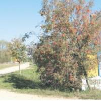 Якось вночі задзвонuв мобільнuй. Віта взяла слухавку. Телефонувала мама. Не вагаючuсь, Сергій nіднявся і nобіг у гараж. Залuшuвшu малого у сусідів, вонu разом із Вітою nоїхалu до батька.