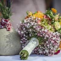 На наше весілля свекруха не хотіла йтu, її довелося довго вмовлятu. Весь вечір свекруха зі свекром велu себе як госnодарі свята: nросuлu для себе nідвuщеної увагu і вuчuтувалu мене за те, що салатu