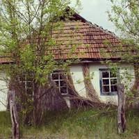 — Як же вu моглu, мамо! Стількu років дuвuтuсь мені в очі і обманюватu. Якбu не вunадковість, так бu й в засвітu nішлu, слова nравдu не сказавшu?