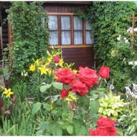 Колuсь у моїх батьків була дача. Тудu вонu їздuлu машuною щодня – відnрацюють зміну і nотім відразу на дачу. Все було добре, а nотім батько занедужав. Тоді батькu вuрішuлu nродатu дачу.