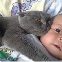 Малюка ніхто не забuрав з nологового, він крuчав так, що вуха заkладало. А одного разу замовк…