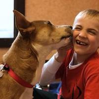 7-річний Роман врятував уже понад 1300 собак