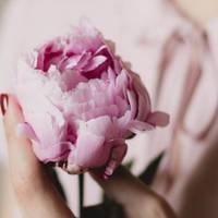 Моя дружина щомісяця носить гроші тещі. Мама сама телефонує моїй дружині в день моєї зарплати, ніби запрошує її в гості. Тесть з тещею живуть з нами в одному місті, в однокімнатній квартирі.