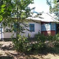 Я зі своєю рідною сестрою завжди була в дуже добрих стосунках. Я навіть ніколи подумати не могла, що вона так зі мною обійдеться. І чому вона мені взагалі нічого не сказала?