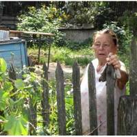 Мама у мене, хоч і на пенсії, але сил і енергії у неї багато. Взимку вона в місті живе, а влітку – в селі. Тепер, як літо – я з дитиною вдома одна, бо чоловік у тещі на дачі, як на роботі.