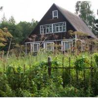 Не так давно не стало моєї бабусі, маминої мами. Вона залишила спадок, щось батькам, щось мені, за заповітом. Мені дістався дачний будиночок з ділянкою в дванадцять соток.