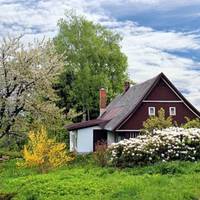 Купив чоловік собі новий будинок – великий, гарний, з фруктовим садом. А поруч у старенькому будиночку жив заздрісний сусід, який постійно намагався зіпсувати йому настрій: то сміття під ворота підк