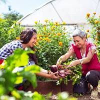 – Ти що, зовсім знахабніла? Швидко зібралася і поїхала мамі допомагати! – почала кричати Віка, сестра мого коханого чоловіка, ледь переступивши поріг.