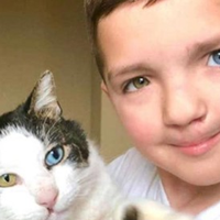 Хлопчик з різним кольором очей знайшов кошеня з такими ж очима.