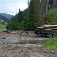 Блогер: Карпати. Поїхали з мєсними на “стрєлу” в їхньому клубі. Запитав, що вони будуть робити, коли ліс закінчиться?