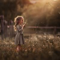 Дівчинка сиділа за столом 2 години. Їжа давно охолола, перетворившись в помиї. Тоді бабуся Люся спробувала годувати Соню силоміць, але дівчинка відштовхнула руку з ложкою.