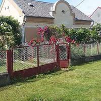 Коли Олеся дізналася, що єдина донька чекає дитину, а у молодих скінчилися гроші, ледве на харчі вистачає, бо потрібно оренду квартири оплачувати, порадившись з чоловіком, покликала дітей у свою хату.