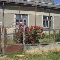 Ірина з Василем зіграли дуже скромне весілля. Стали жити в її домі. Але в той день, коли Василь отримував зарплату, до нього постійно приходила сестра.