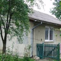 Мої свекри не завжди жили в селі. Вони міські люди, просто на пенсії купили там будинок і переїхали. Ось уже п’ятий рік там живуть. Свекруха моя готувати ніколи не вміла.