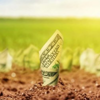 Андрій Смолій: 6 тисяч гривень податку за пай. Влада придумала новий податок селянам.