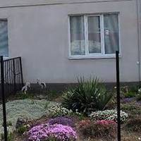 Так склалося в моєму житті, що мені довелося доглядати за власною свекрухою. Хоча Світлана Василівна і має дочку в місці, але вона з’являлася дуже рідко.