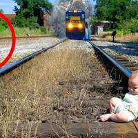 Пес з притулку врятував 9-тижневу дитину своїх господарів