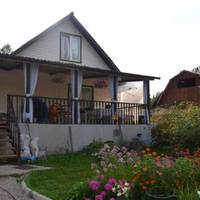 Почалася ця історія кілька років тому, син надумав одружитися. Привів додому жінку і сказав, що це наречена. Весілля справили не гірше, ніж у людей, на це пішли всі мої заощадження за багато років.