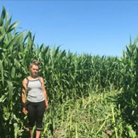 В це поле молода сім’я з Завадівки вклала майже 50 тис. грн. Минулої ночі хтось влаштував на їх полі ралі.. Витоптано, виїжджено більше гектара посівів.