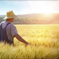 Притча про двох братів. Нехай один брат, розділить поле так, як сам вирішить це зробити. А другий брат, хай обере з цих двох половинок, яка йому підійде