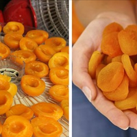 Як правильно зробити курагу з абрикоса в домашніх умовах. Це смачно та корисно