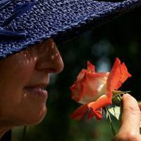 Якось я позичила гроші у своєї свекрухи. Чоловікові правди не сказала. Я повідомила Дмитрові, що гроші взяла у подруги, за пів року маю віддати. Минав час, ми частинами віддавали борг.