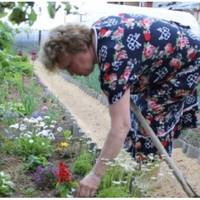 В суботу зранку я прокинулася і побачила, що на кухні стоїть чашка недопитої кави, а на грядках, як завжди, порається мама мого чоловіка.