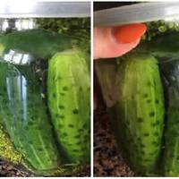 Дуже хрусткі і смачні квашені огірочки на зиму холодним способом. Кожного року намагаюсь заготувати хоча б кілька баночок