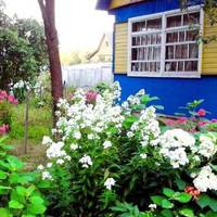 В село до батьків я привела зятя, старшого за мене на 5 років. Мама зраділа, а тато дуже засмутився. Потім ми стали жити у місті, до батьків приїжджали щовихідних.