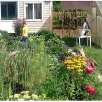 Ми нещодавно переселилися у власний дім, правда, ремонт до кінця там ще не доробили, але спальню, зал, кухню і ванну вже оформили. Отак, здавалося б, зараз лише жити і насолоджуватися життям, але тут