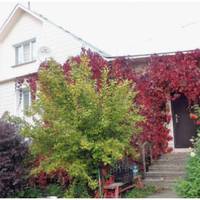 – А мама не допомагає? – запитала мене потихеньку мамина тітка, запрошена нами на хрестини доньки. – Так я і не прошу, – кажу, а тітка головою хитає. – Мене ні дочка, ні син не просили, – каже, – я с