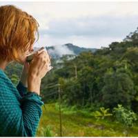 Я взяла два тижні відпустки і разом з сином поїхала в село до мами. Нещодавно до нас приїхала свекруха, вона вирішила зробити у себе ремонт, а поки пожити у нас.