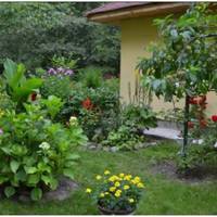 25 липня у дідуся був день народження, йому виповнилося 78 років. Я спеціально взяла відпустку за свій рахунок, щоб поїхати в село до рідних. 23 числа я поїхала в село.