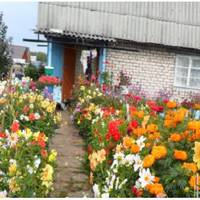 Замість того, щоб запросити мене з дороги в дім, свекруха відправила мене в магазинчик – сплатити її борг. Я дістала гаманець і віддала продавчині гроші.