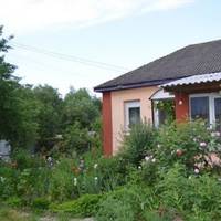 У селі виділяється будинок Галини. Яких тільки квітів у неї немає на подвір’ї. А чистота яка в будинку і у дворі! Ніде ні смітинки, ні пилинки. Але живе Галя сама.