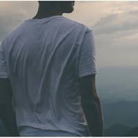 В той вечір Дмитро дуже втомлений повернувся додому і почав відкривати двері. Вони виявилися замкненими зсередини. Дмитро почав дзвонити в дзвінок. Ніхто не відкривав.