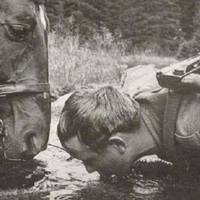 Пий там, де кінь п’є. Кінь поганої води не питиме ніколи. Стели ліжко там, де…